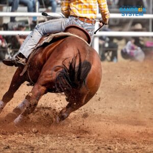 a man riding a horse