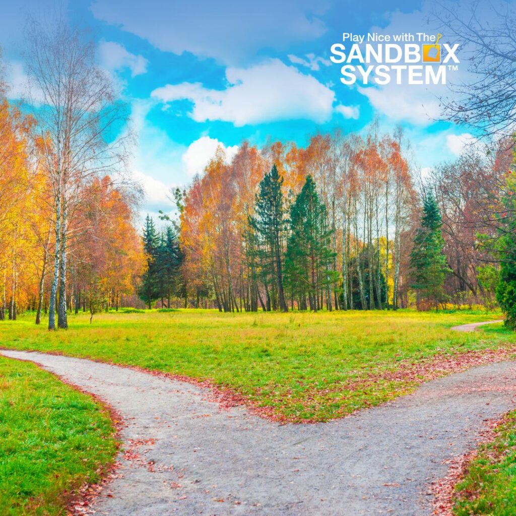 image of a path intersection with 2 ways you can go to show Accountability Without Blame: The Only Way It Actually Works